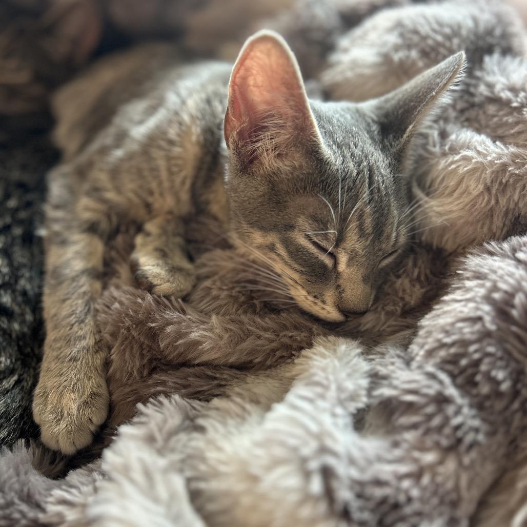 Thelma — thumbnail 3