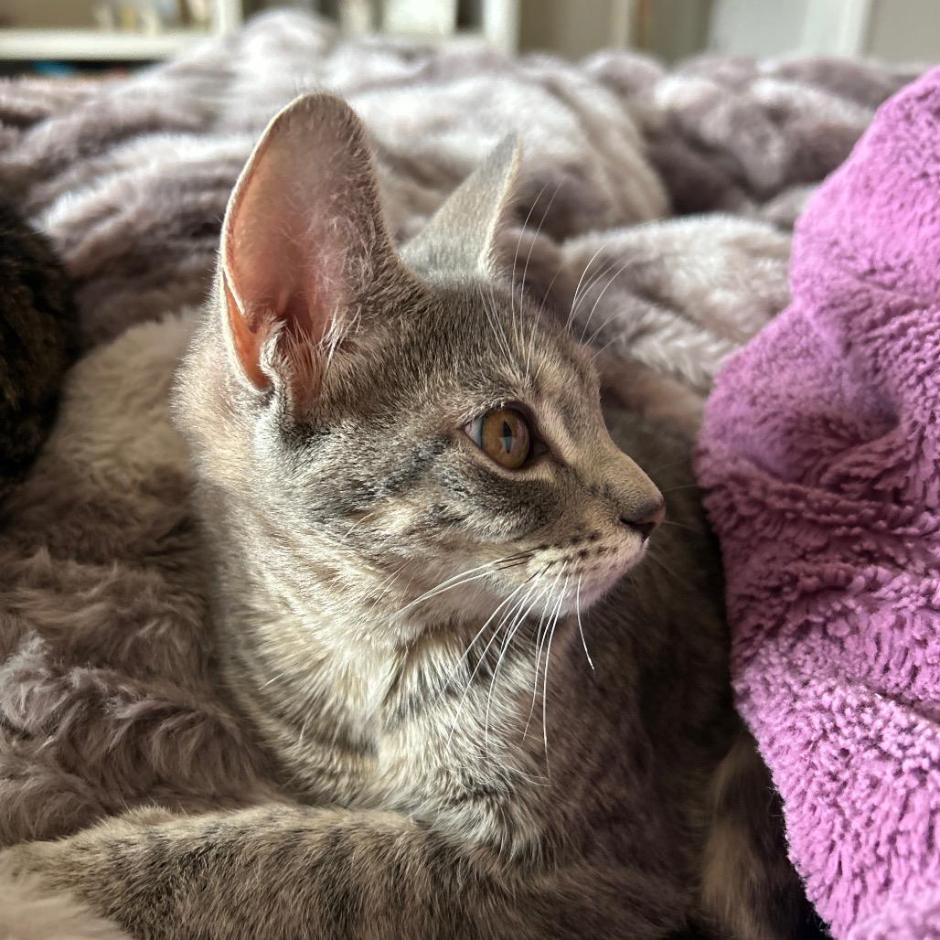 Thelma — thumbnail 4