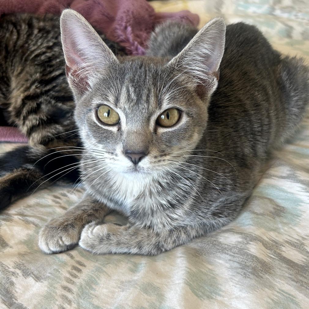 Thelma — thumbnail 5