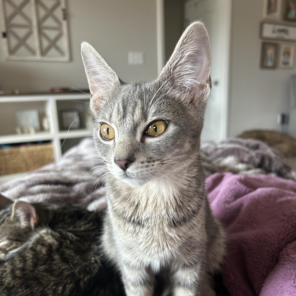 Thelma — thumbnail 6