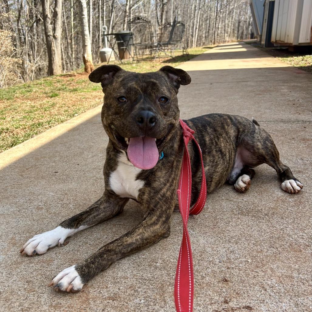 Tyrion — thumbnail 5