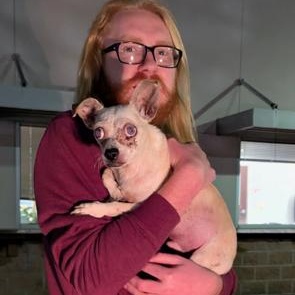 Maxie, adopted, Senior Female Chihuahua.