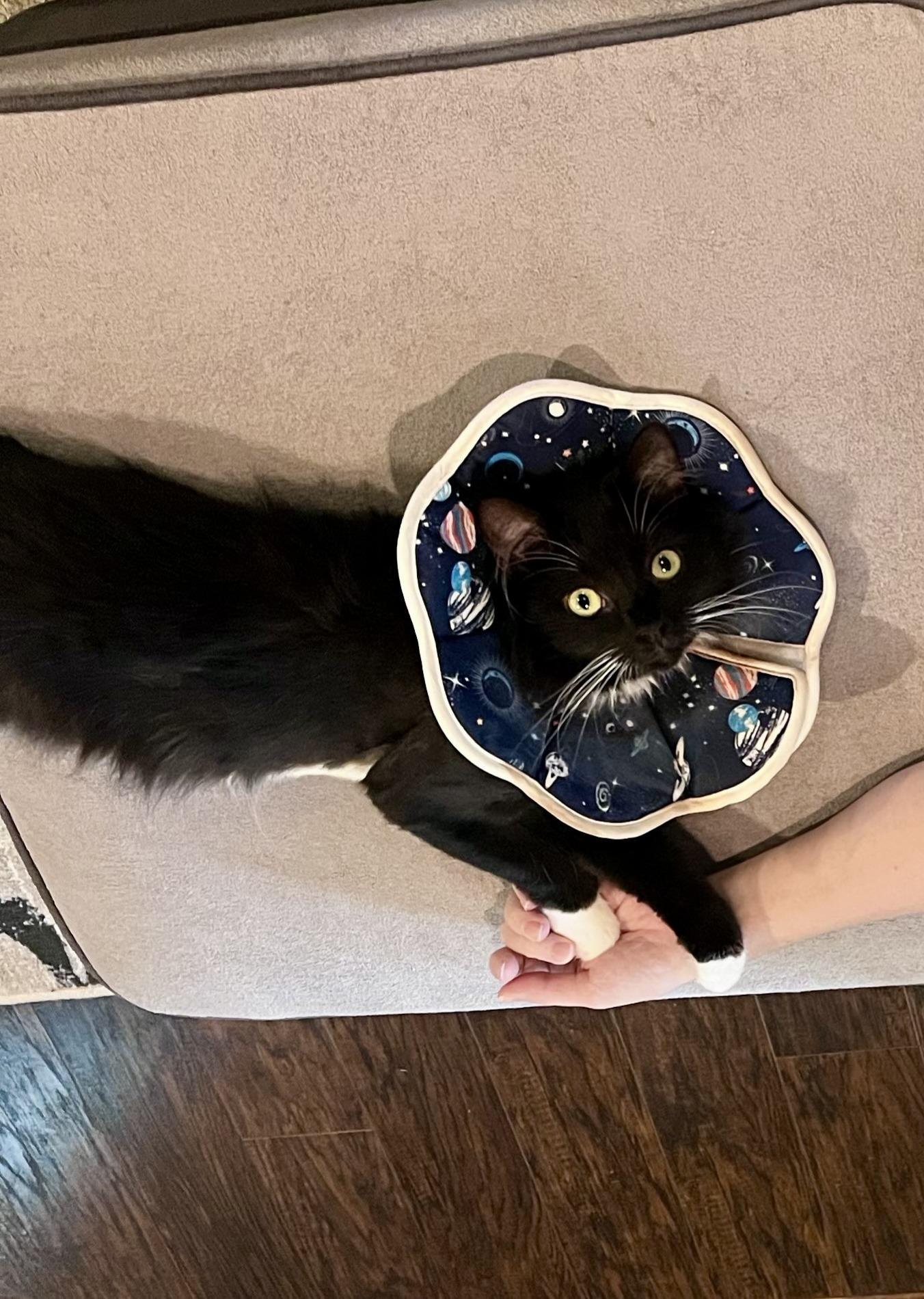 Raspberry Beret thumbnail 2