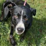 Crossroad thumbnail 2