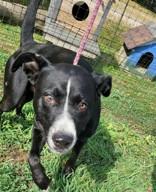 Crossroad thumbnail 3