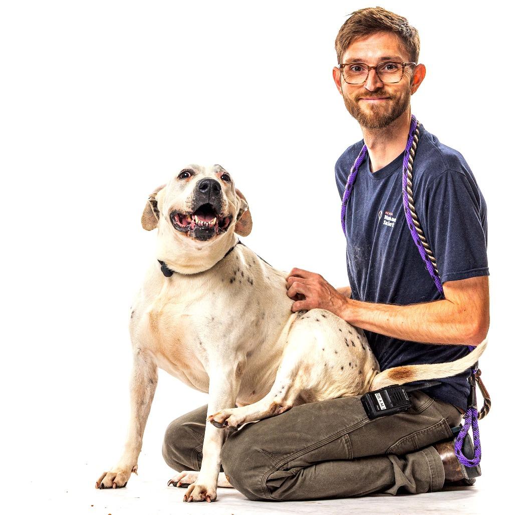 Enlarge Britnee, a Adoptable mixed breed in Reno, NV image 4/6