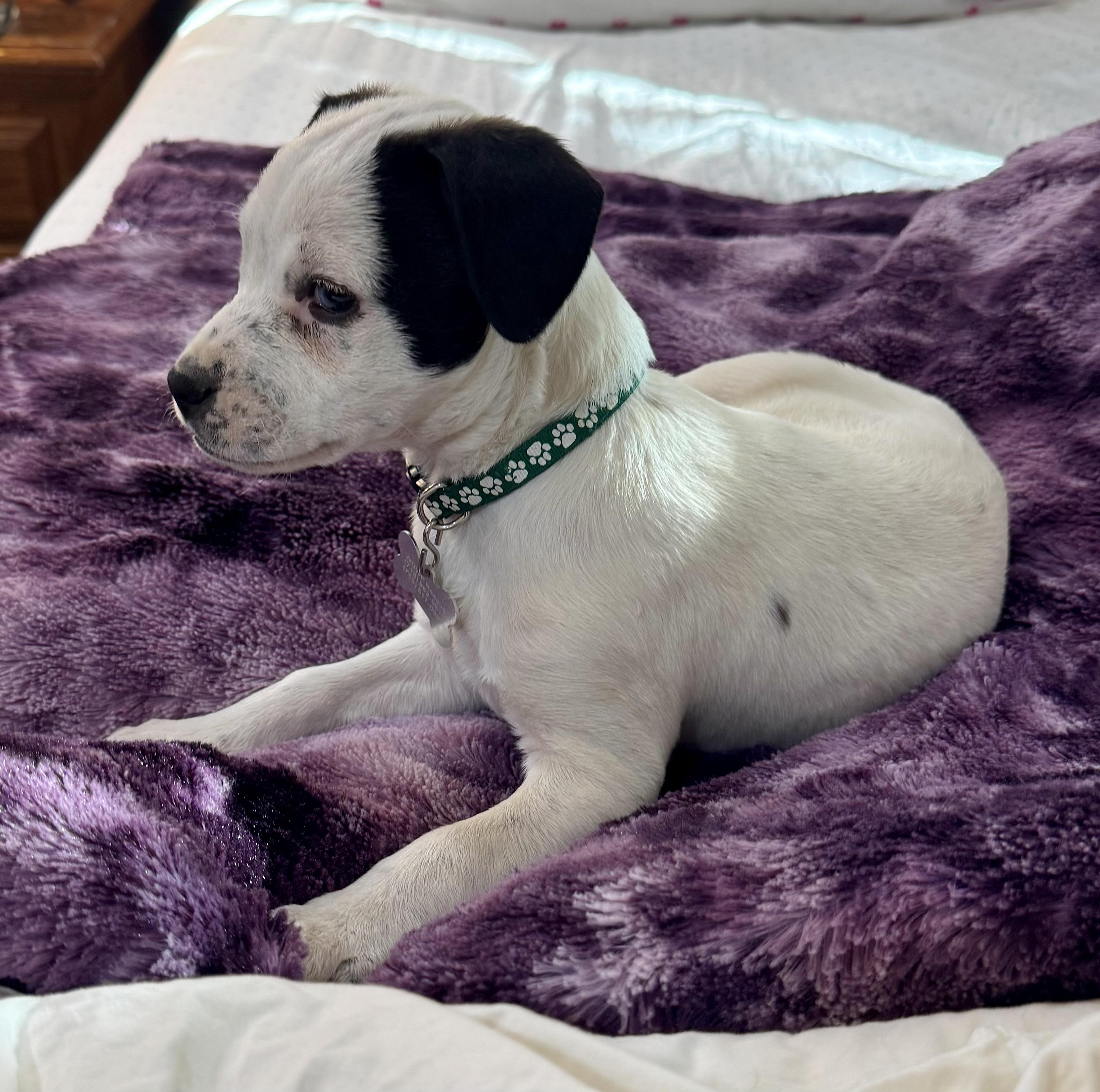 Nebraska — thumbnail 3