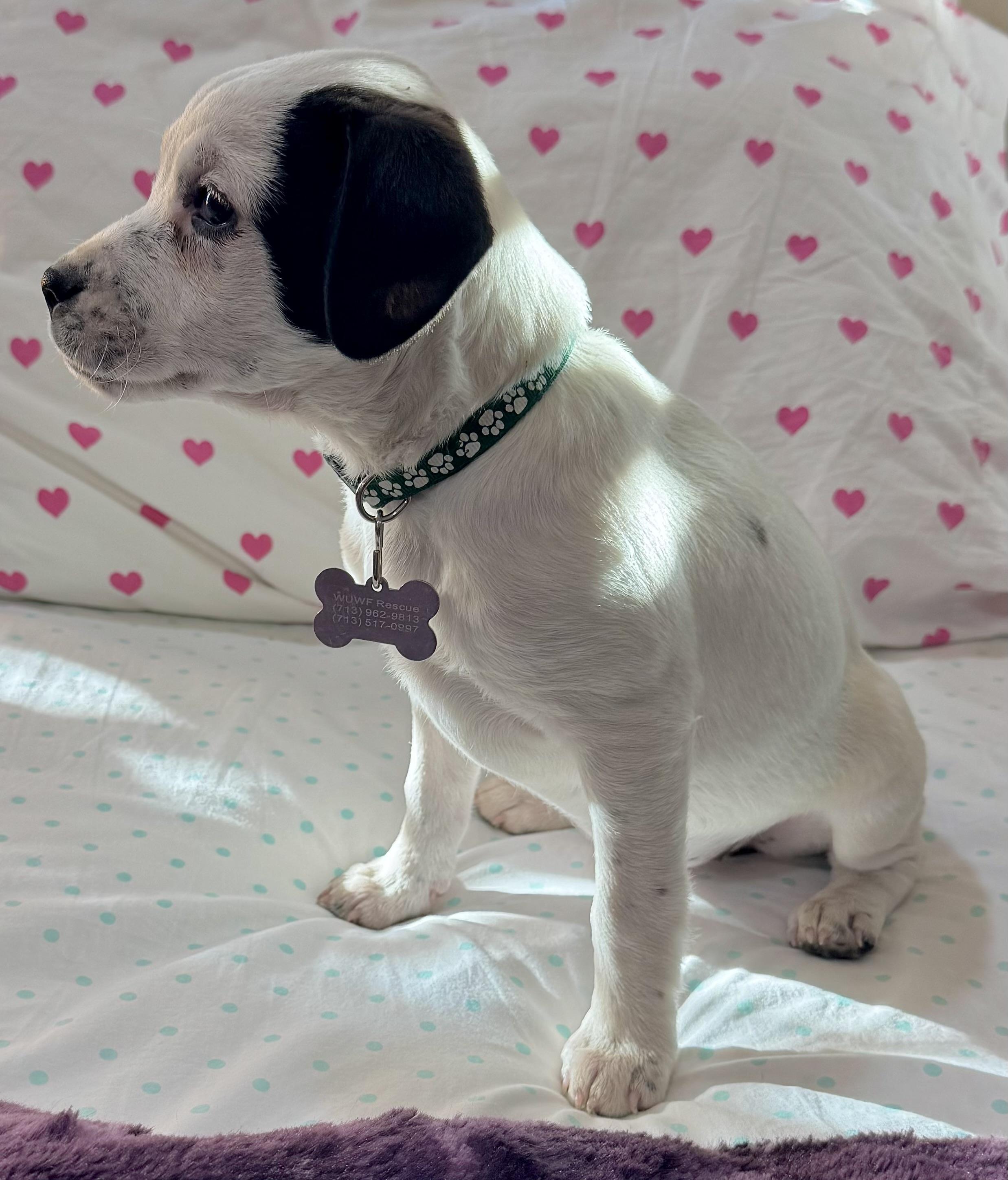 Nebraska — thumbnail 4