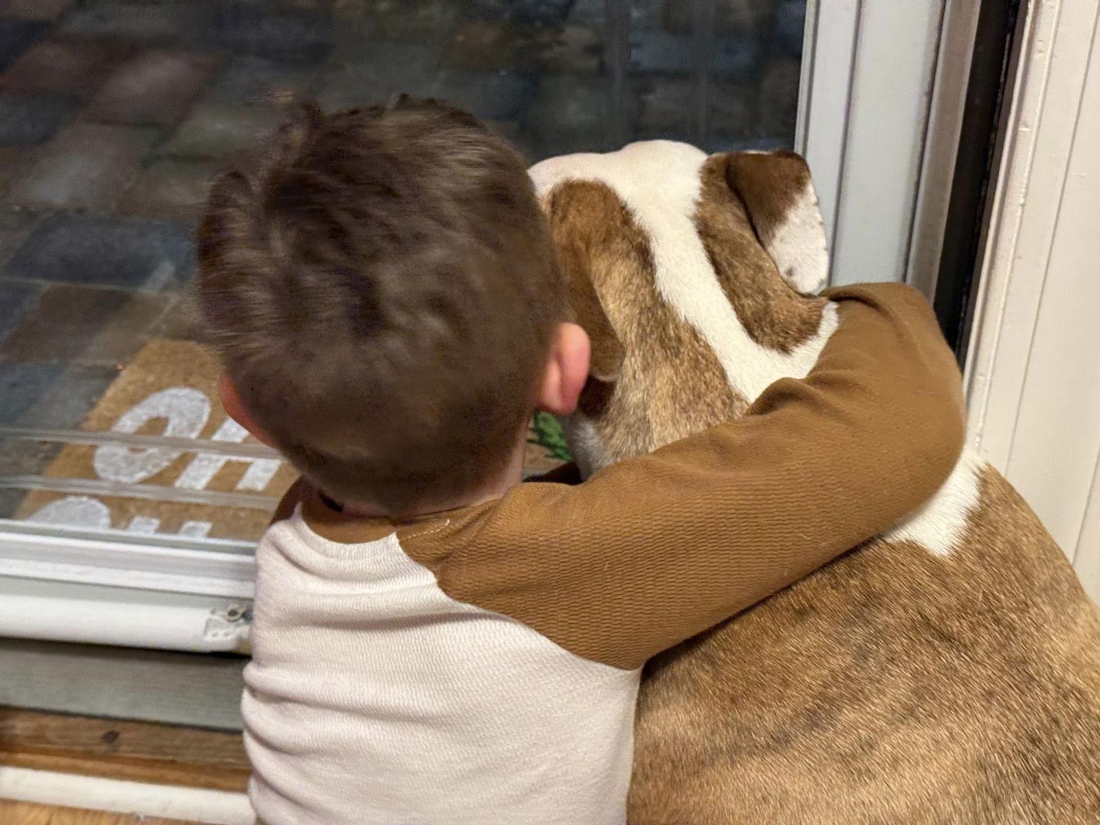 Grace, Adoptable, Adult Female Terrier.