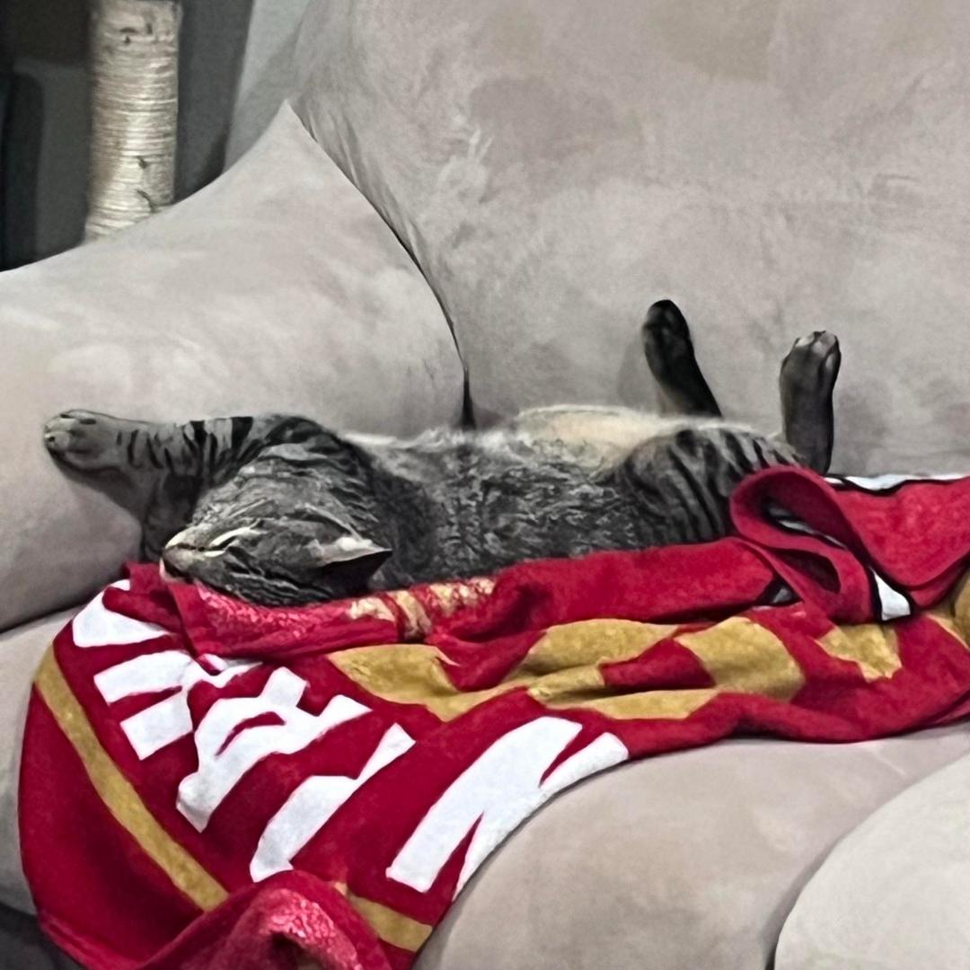 Oscar