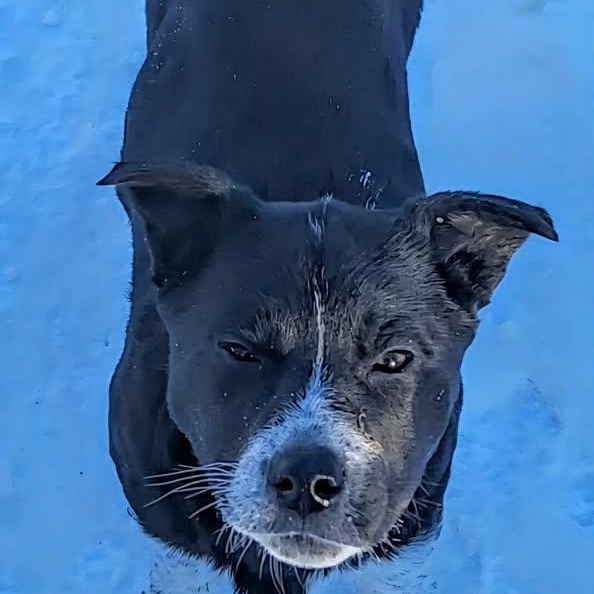 Ayana (20260120-04) — thumbnail 2