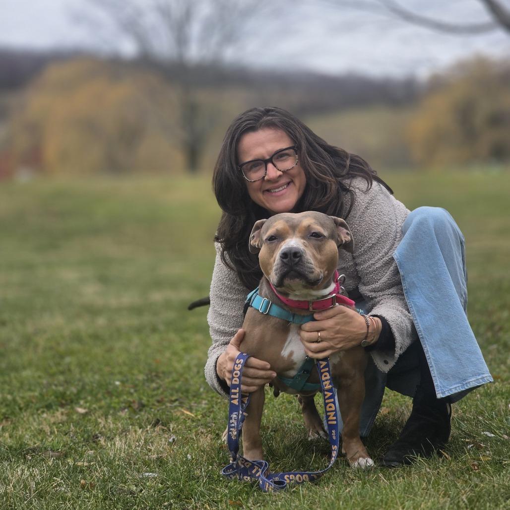Enlarge Bobby Sue, a Adoptable Mixed Breed in Bangall, NY image 3/5