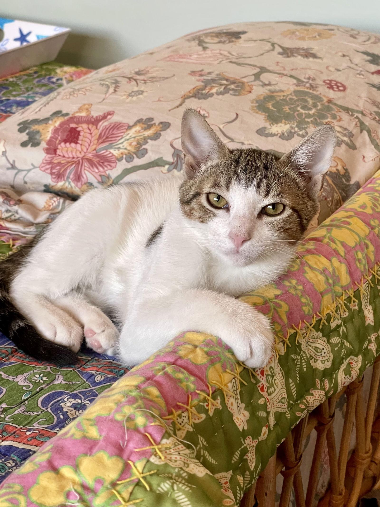 TEDDY — thumbnail 2