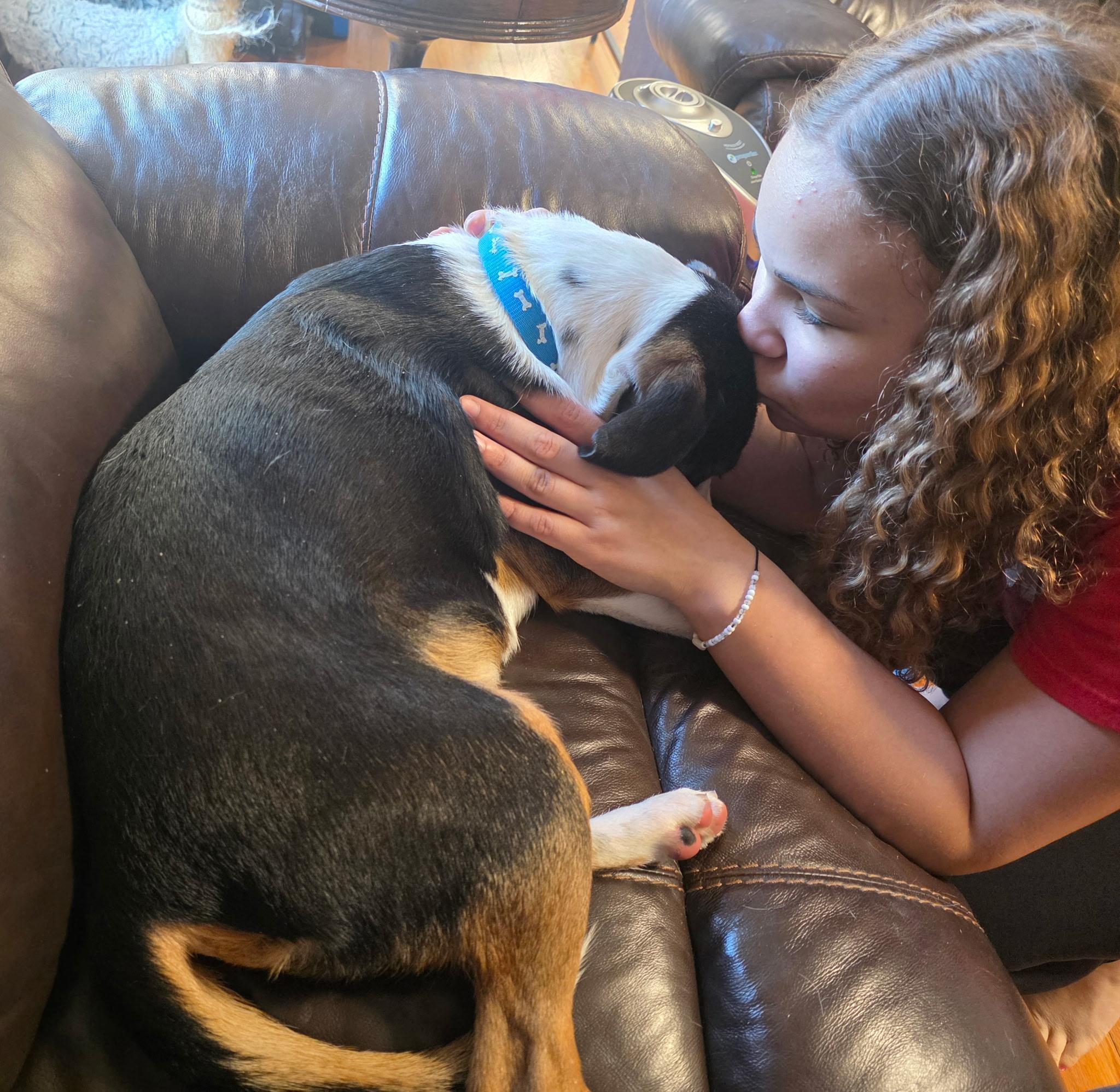 Enlarge Melvin, a ADOPTABLE mixed breed in Jefferson, IA image 3/3