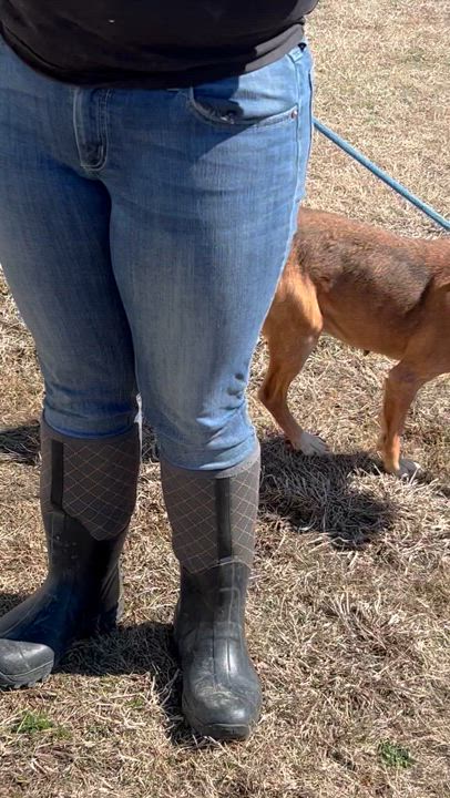 Enlarge Tessa, a Adoptable Hound in Charles City, VA video 5/5