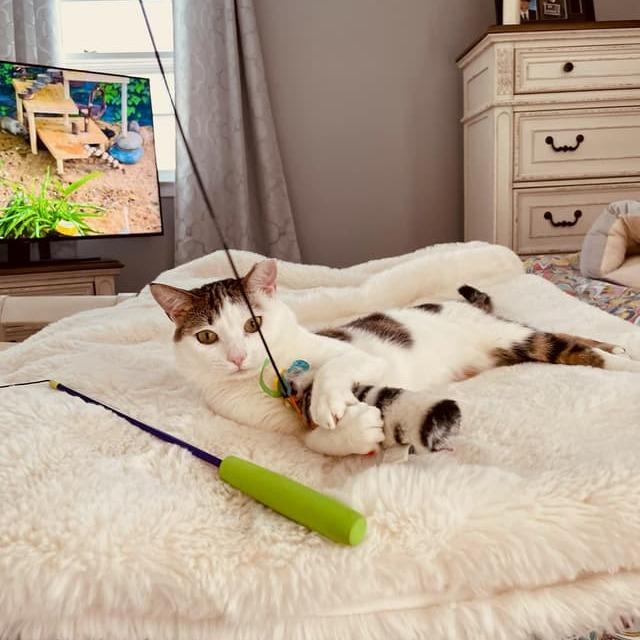 Gollum — thumbnail 2