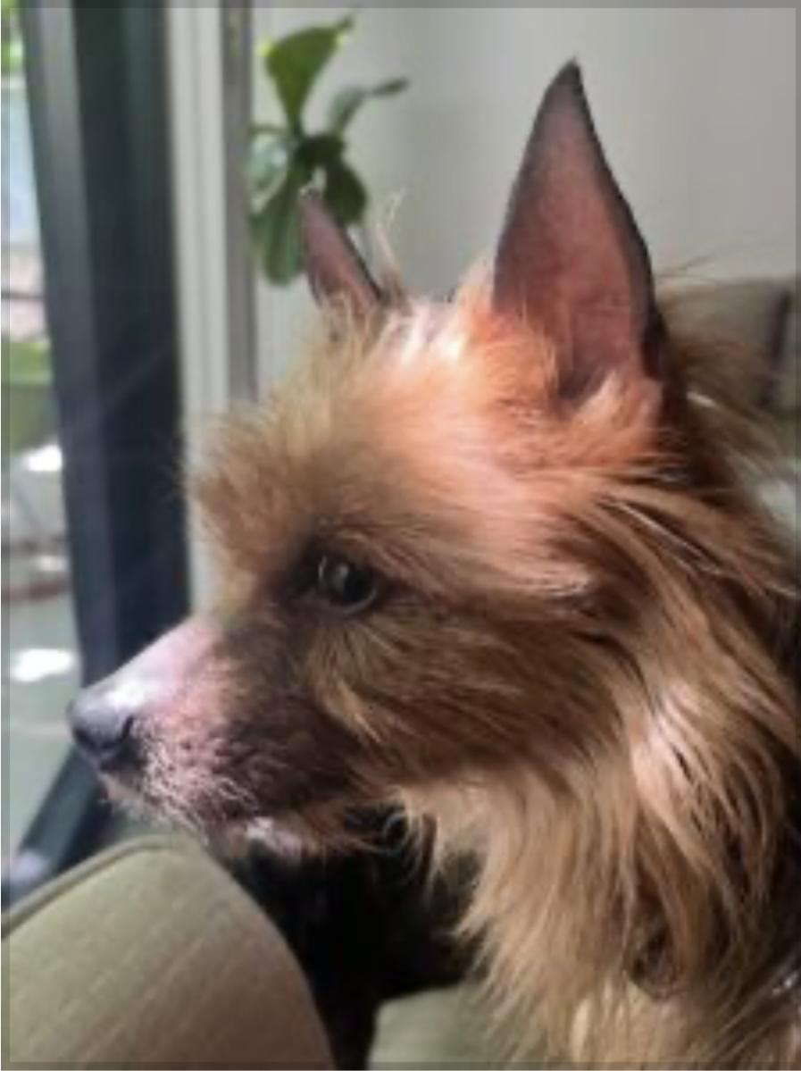 Jax