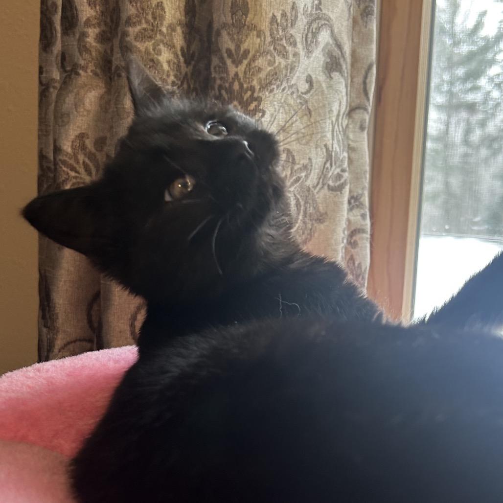 Stinky Pete — thumbnail 3