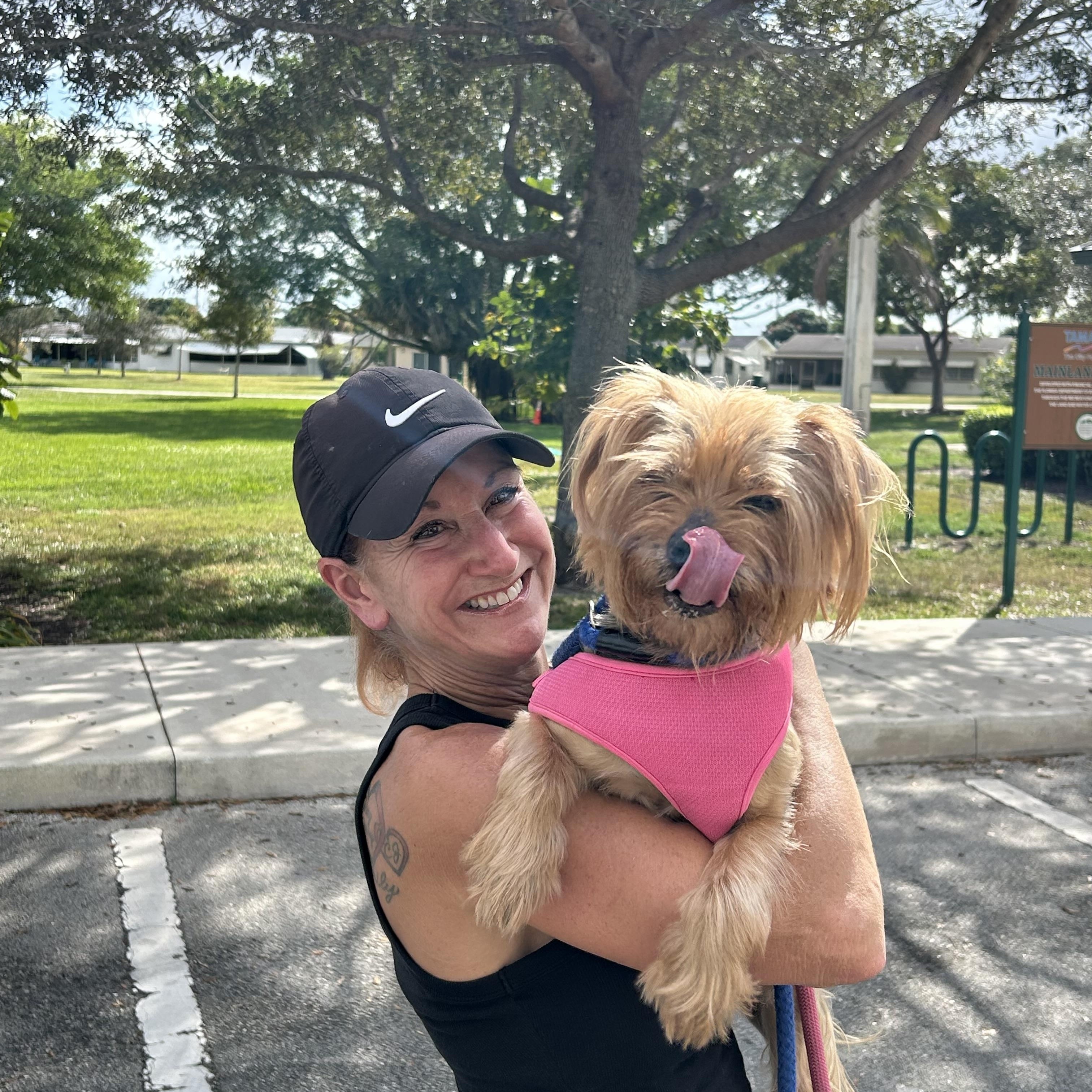 Snoop Dog, a ADOPTABLE Yorkshire Terrier in Coconut Creek, FL image 3/5