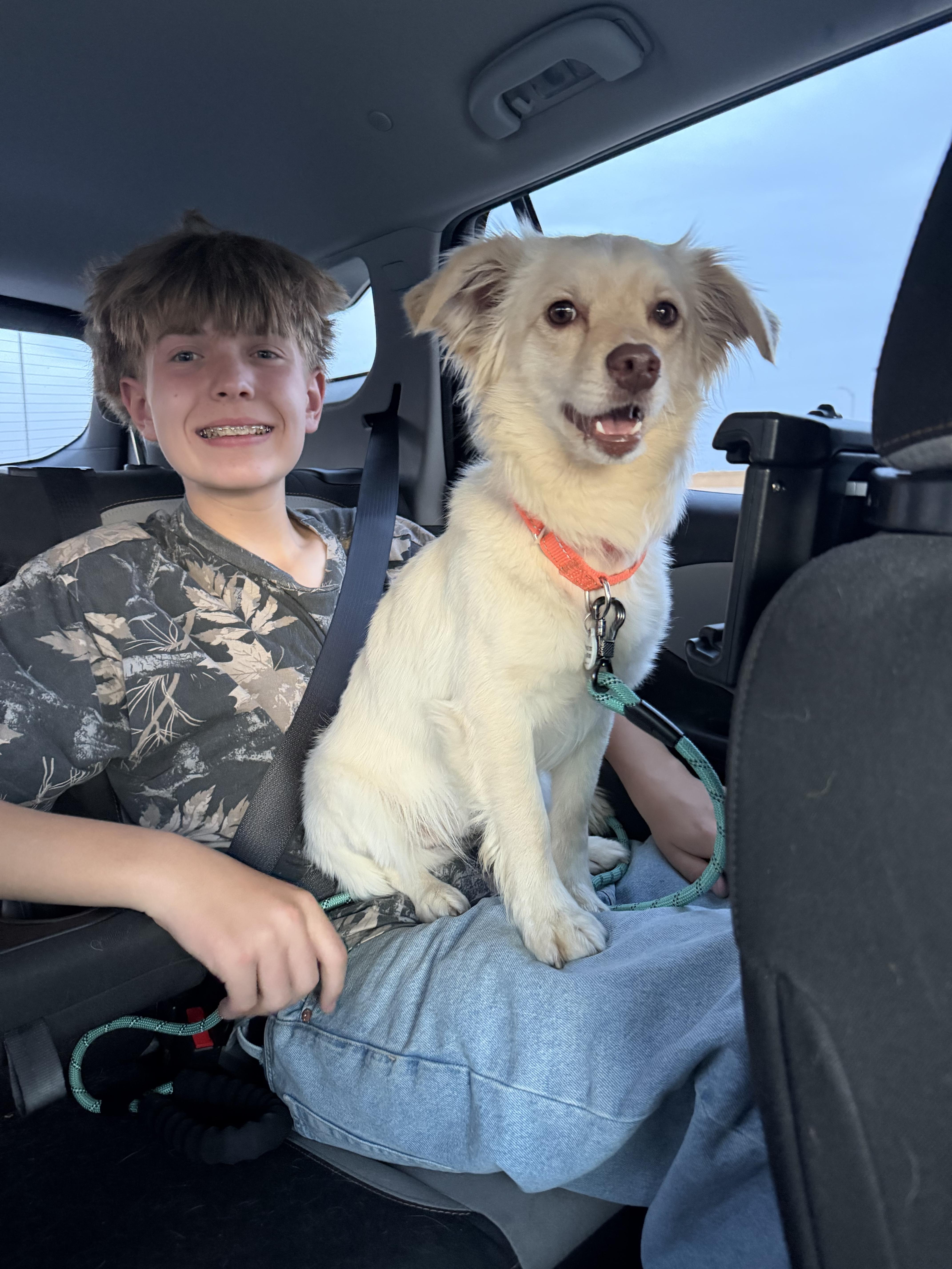 Coco, a Adoptable mixed breed in Phoenix, AZ image 2/6