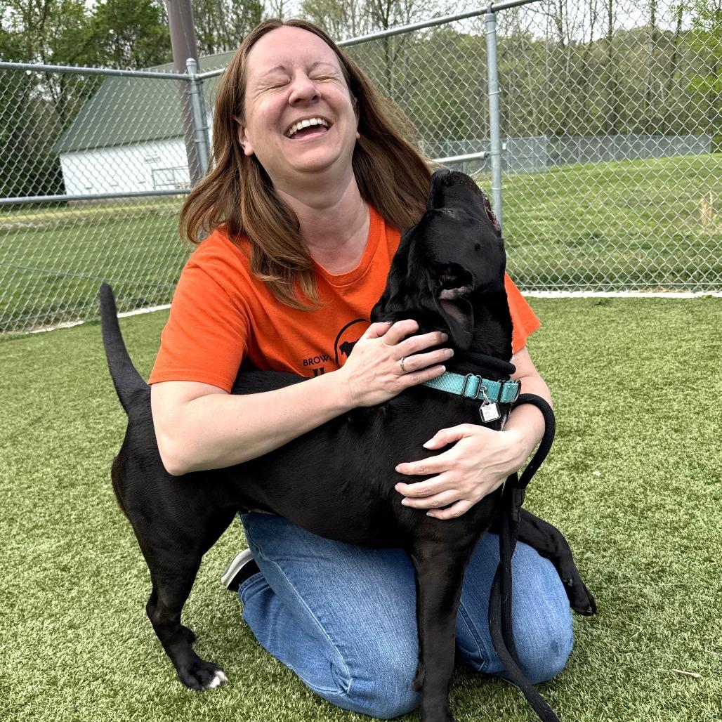 Enlarge Opal, a Adoptable Pit Bull Terrier in Nashville, IN image 5/6