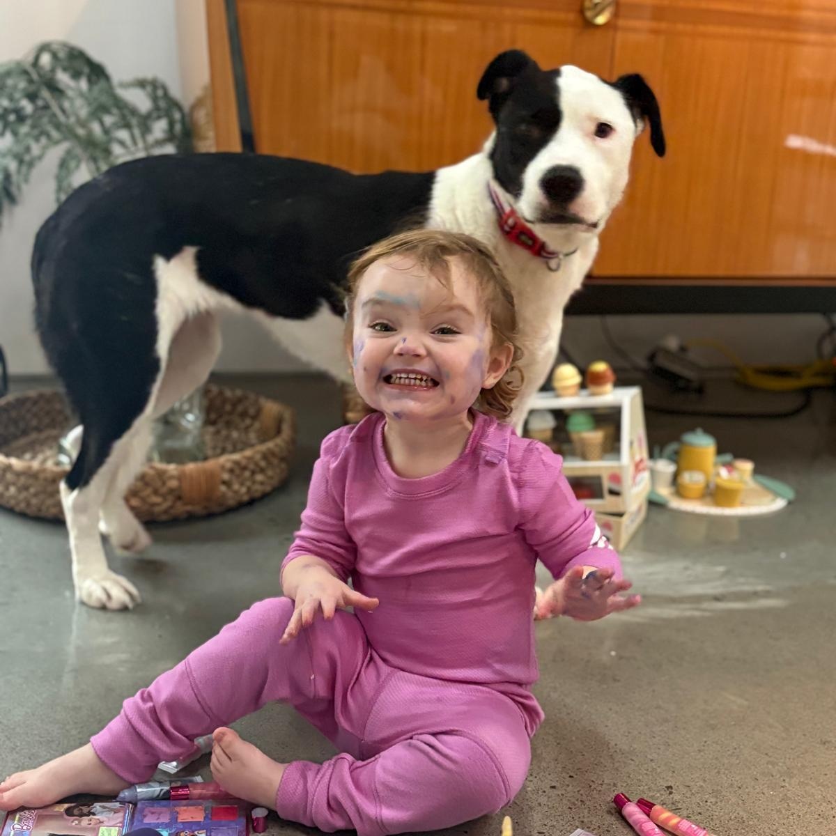 Enlarge Ms. Gorgeous Gloria, an adopted mixed breed in toronto, ON image 1/6