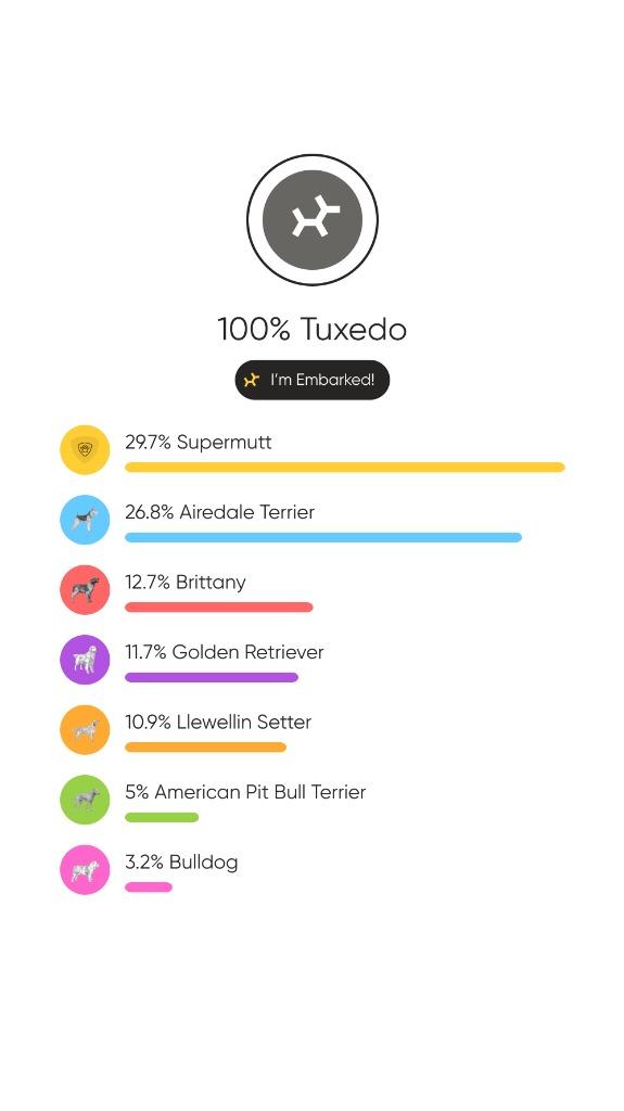 Cake Litter Chocolate Lava