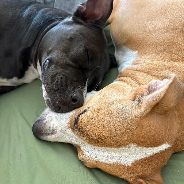 Sandy Avalon The Girl with the Gentlest soul — thumbnail 3