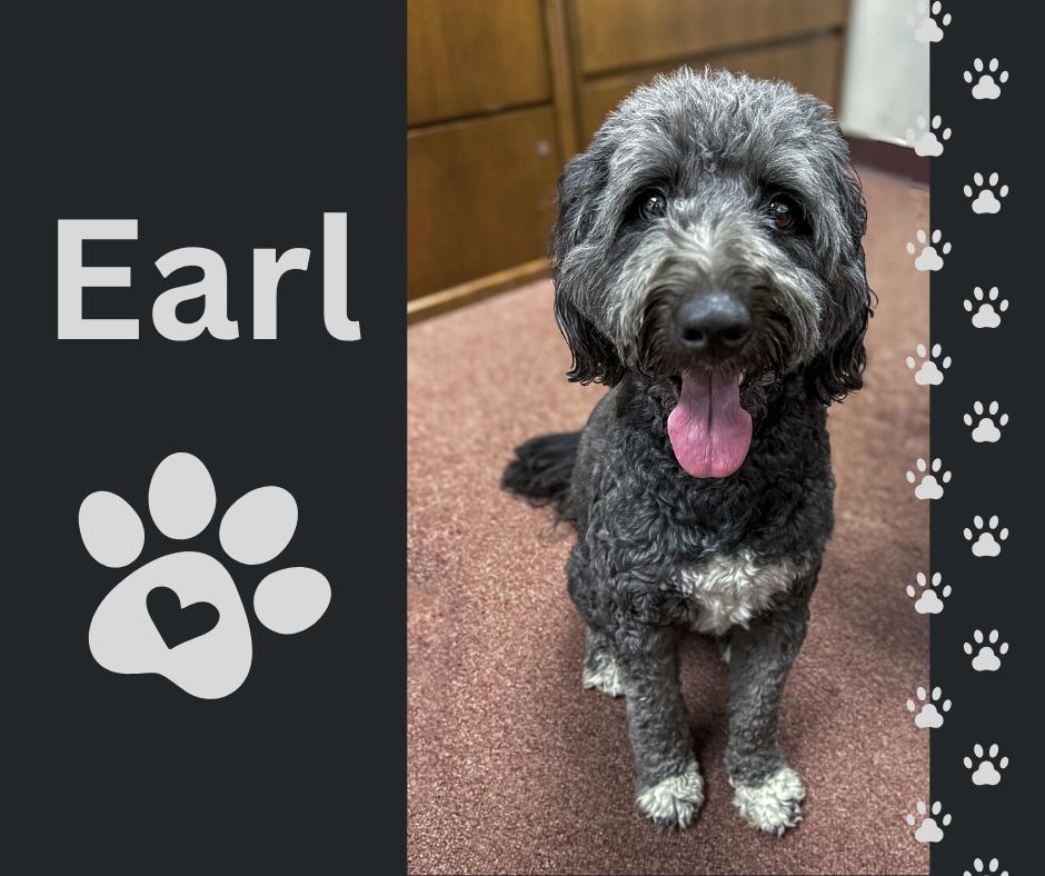 Earl