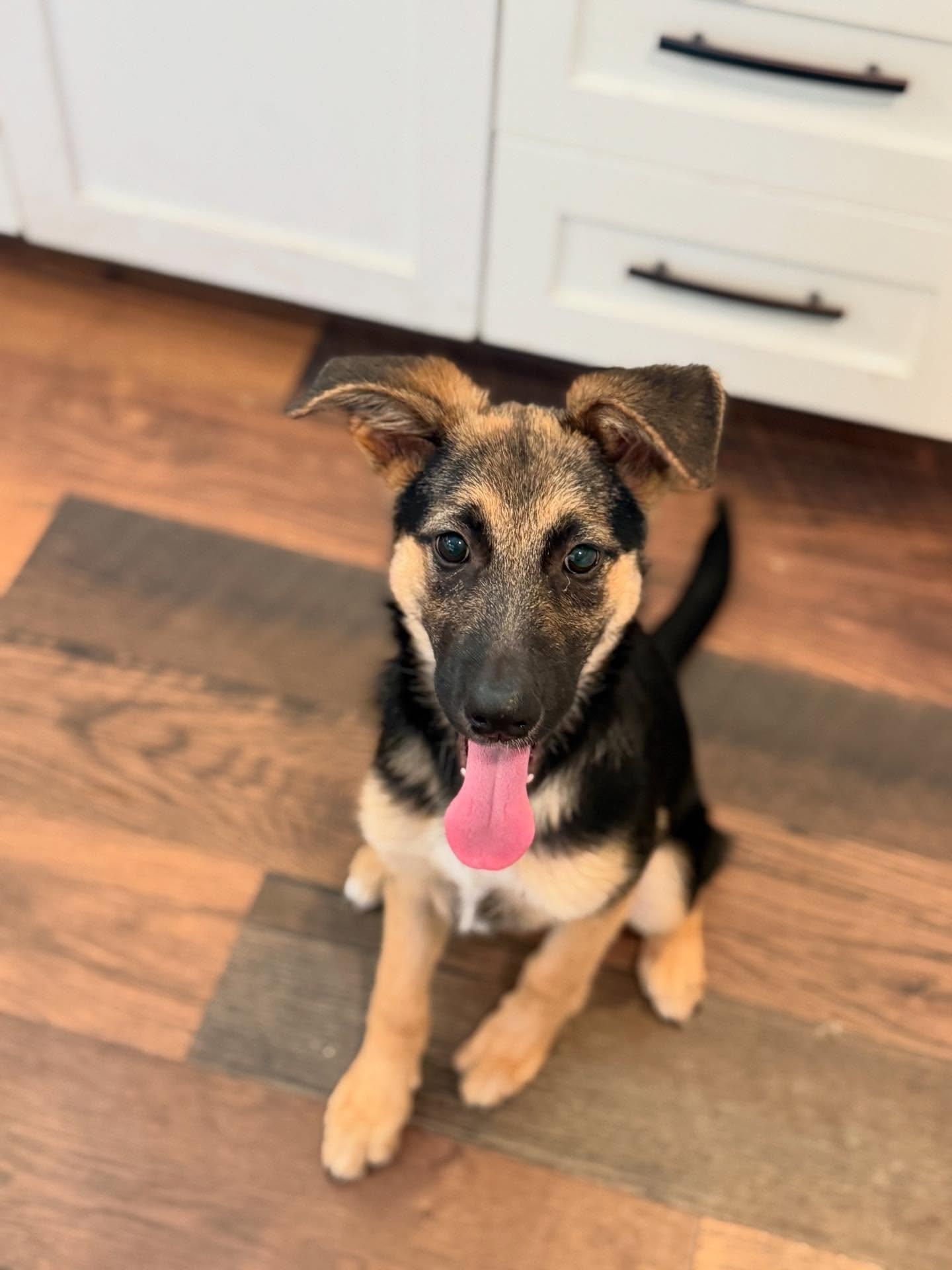 Kira