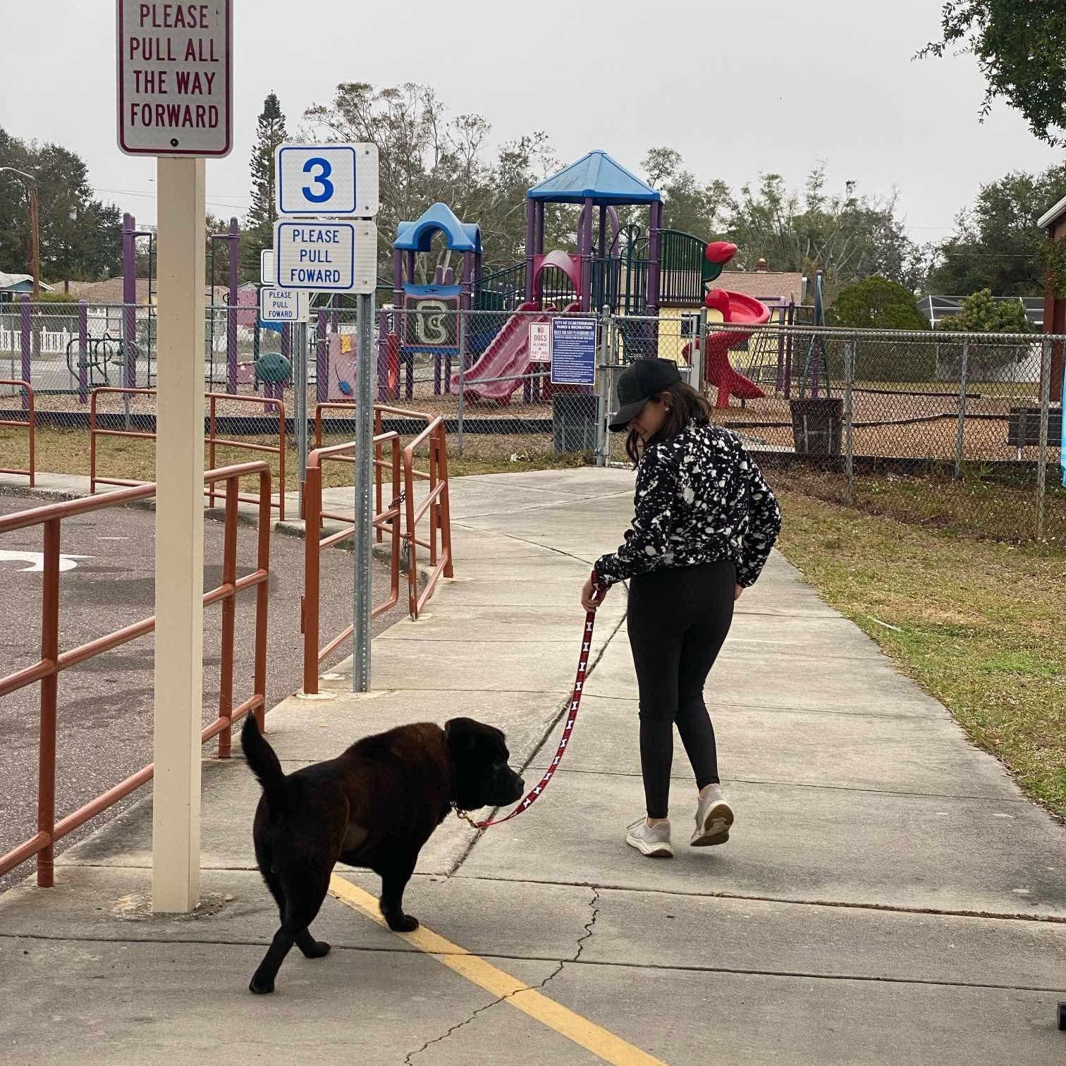 Enlarge BB KING AKA BIGGIE, a Adoptable mixed breed in Eugene, OR image 2/6