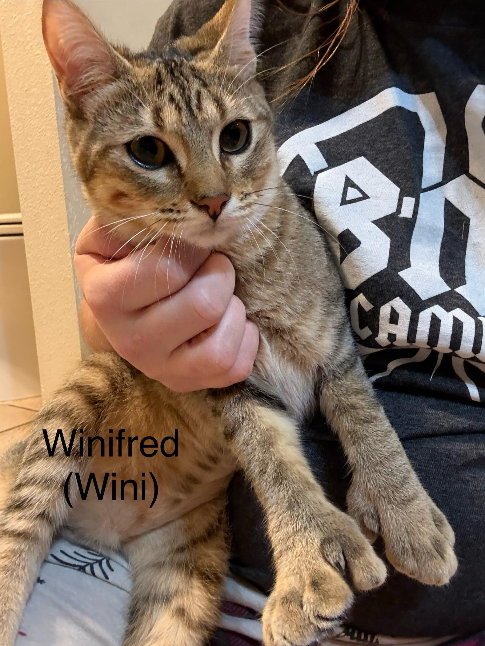 Winifred