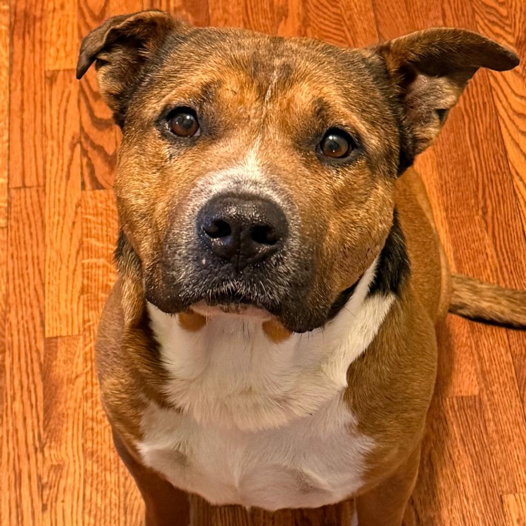 Bruce Almighty — thumbnail 2