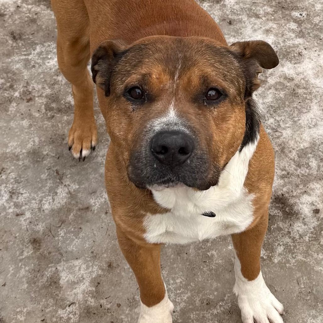 Bruce Almighty — thumbnail 3