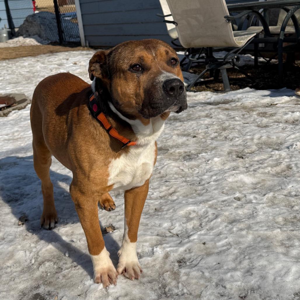 Bruce Almighty — thumbnail 4