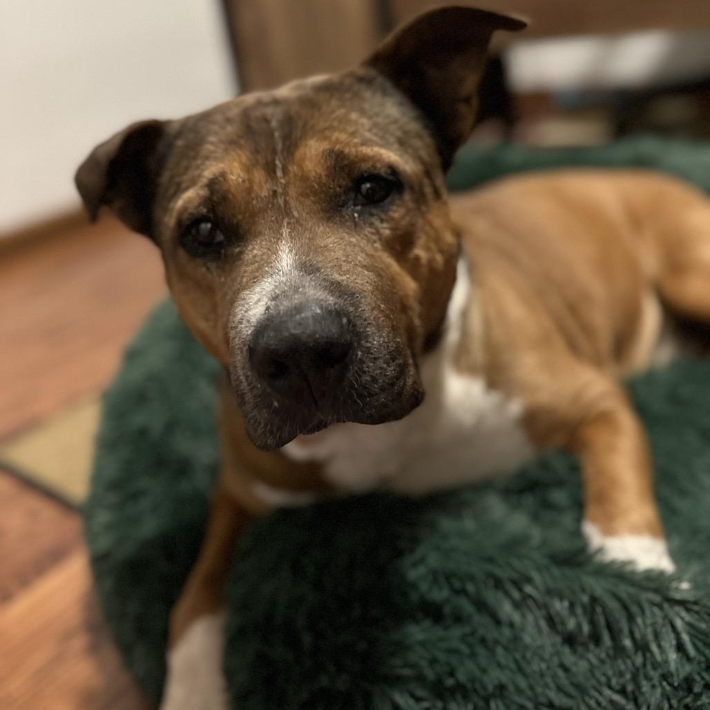 Bruce Almighty — thumbnail 5