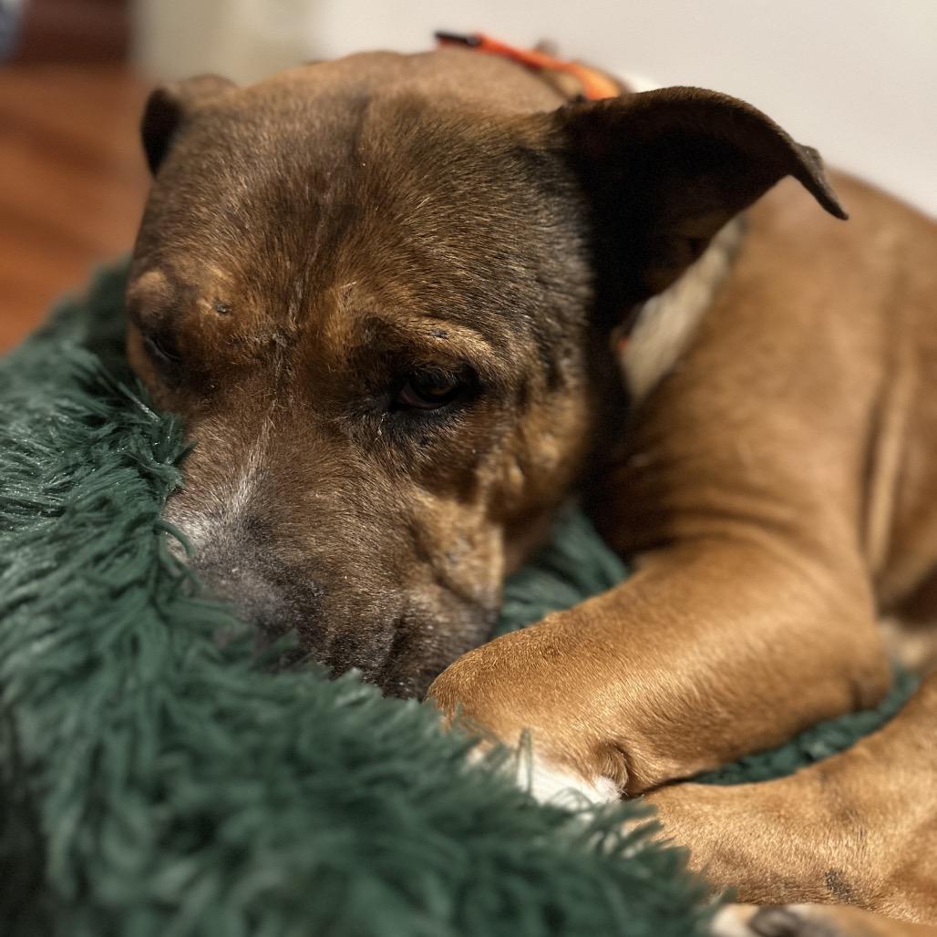 Bruce Almighty — thumbnail 6