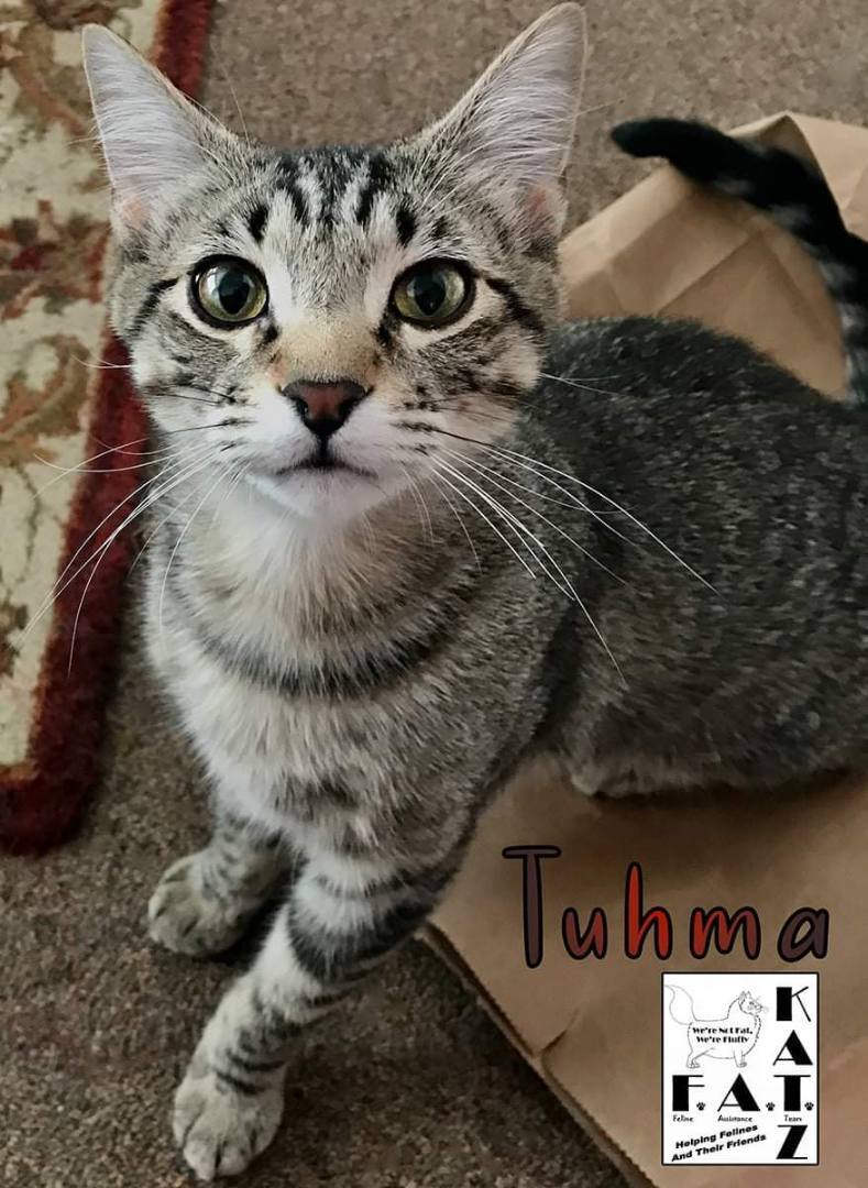 Tuhma thumbnail 6
