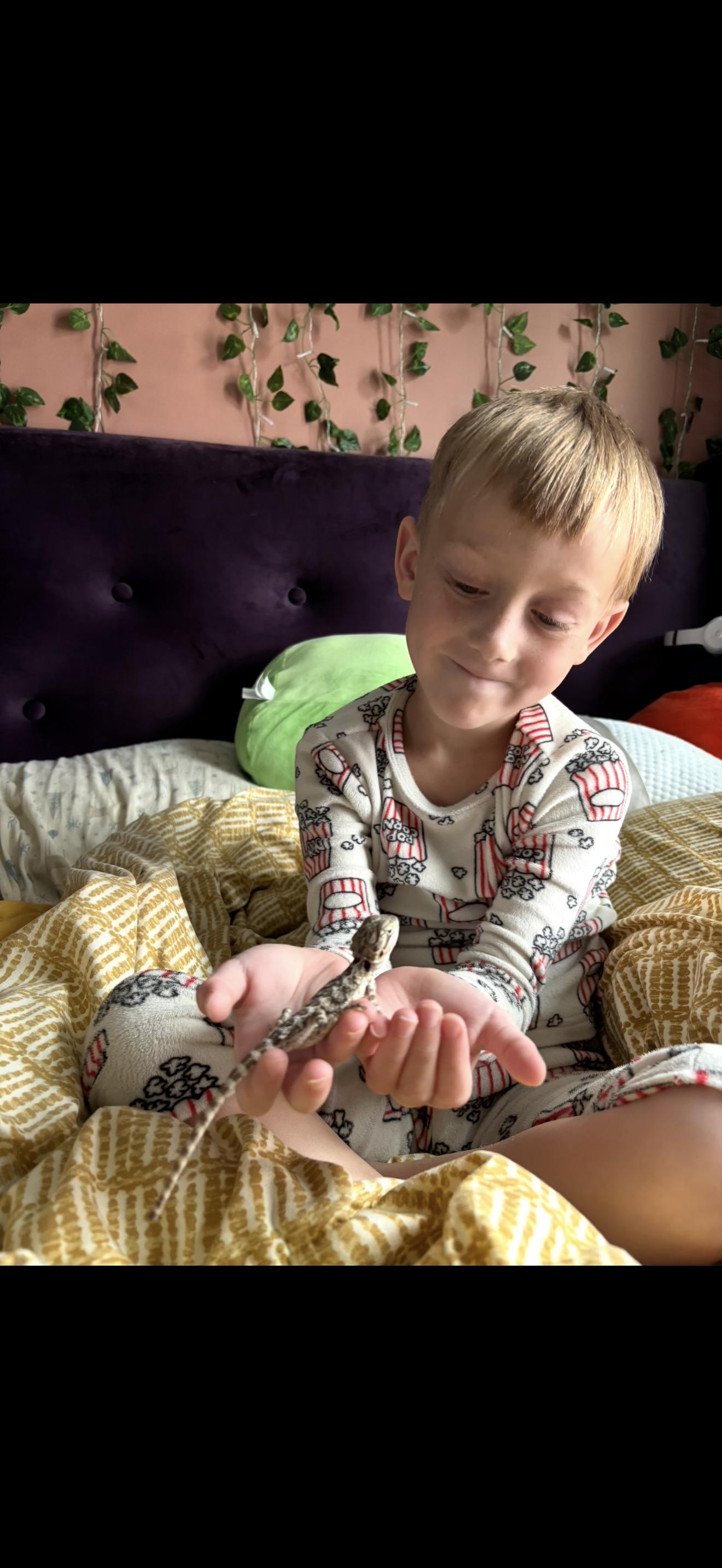 Enlarge Pilot, a Adopted Bearded Dragon in JACKSON, NJ image 3/4
