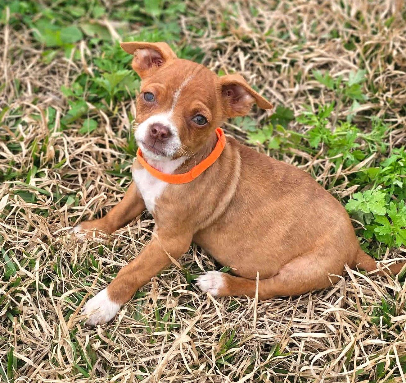 Michael Calligrace — thumbnail 2