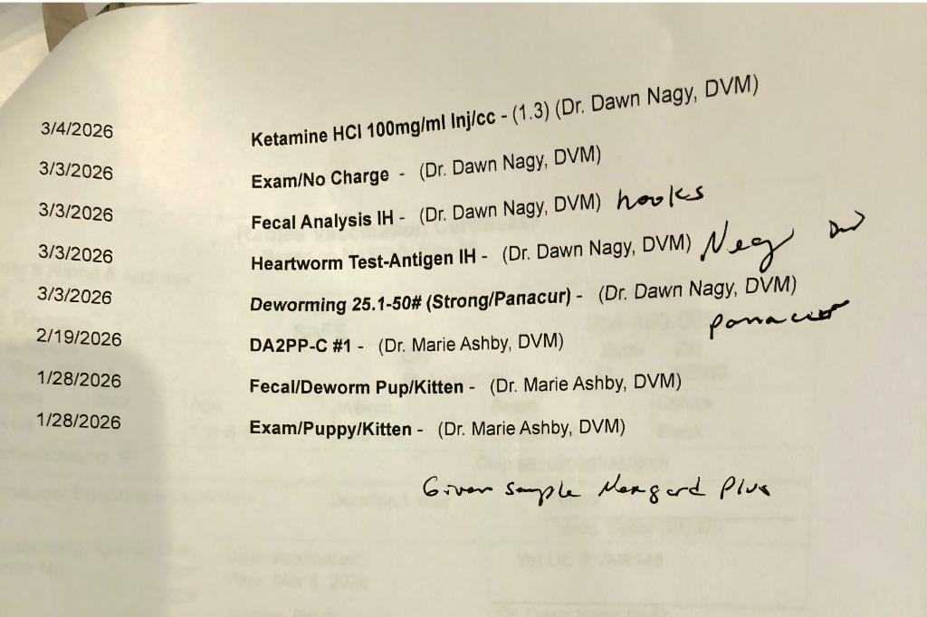 Shadow — thumbnail 3