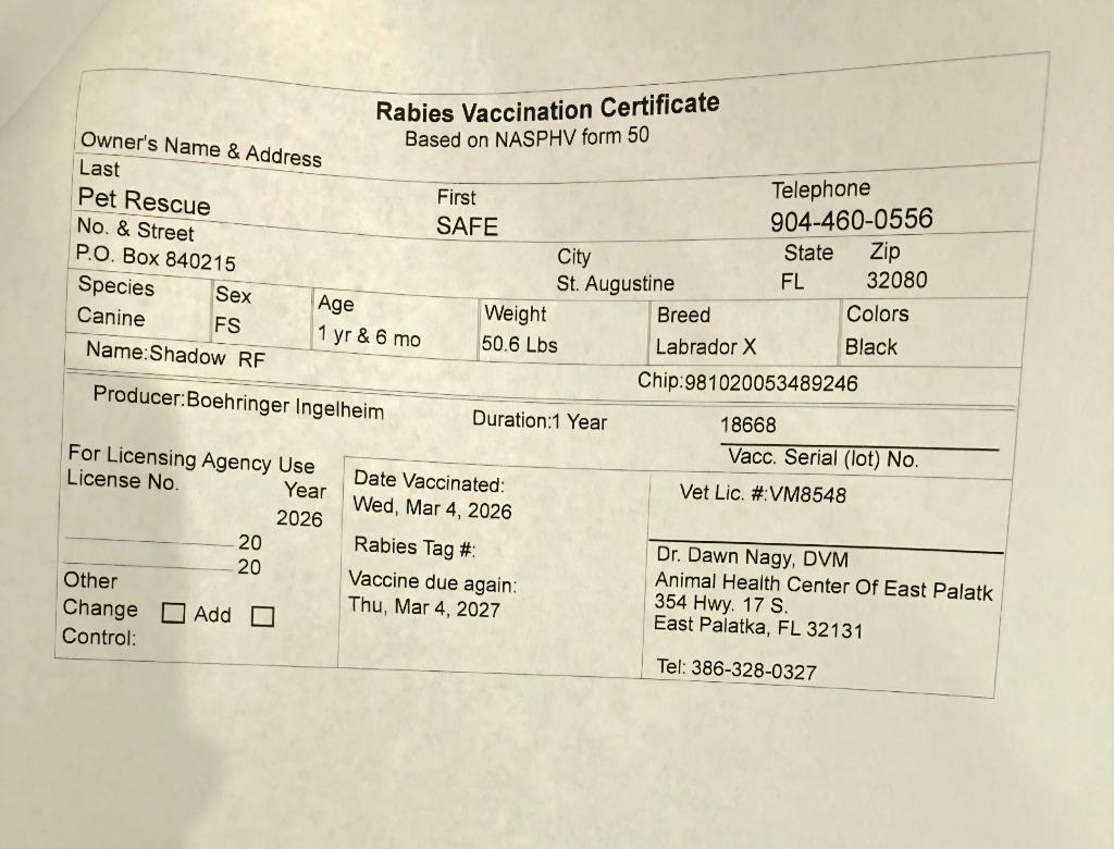 Shadow — thumbnail 4