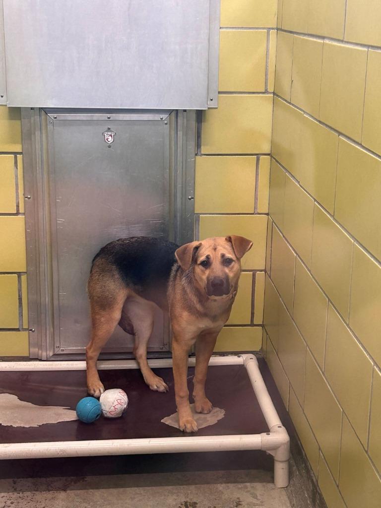 Jewel — thumbnail 2