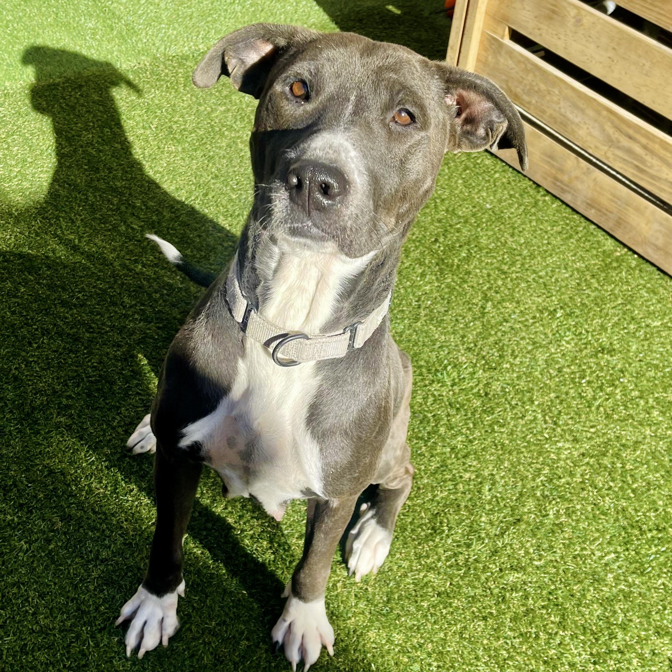 Hillary — thumbnail 2