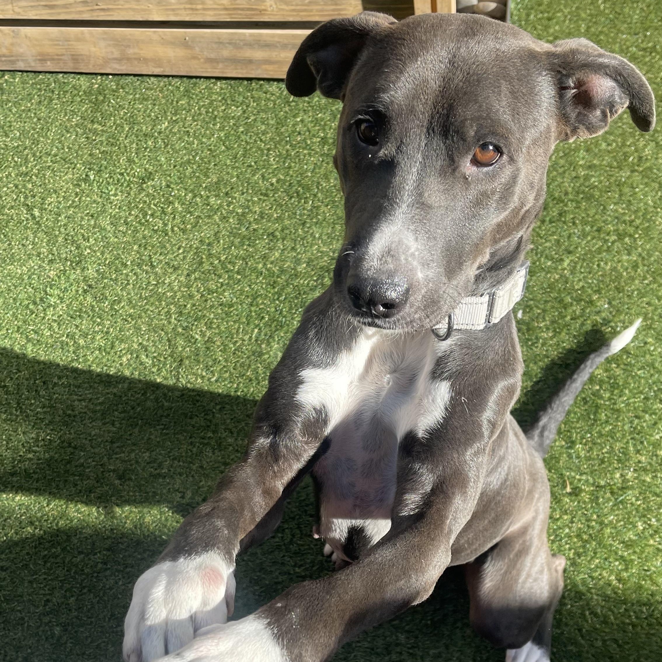 Hillary — thumbnail 6