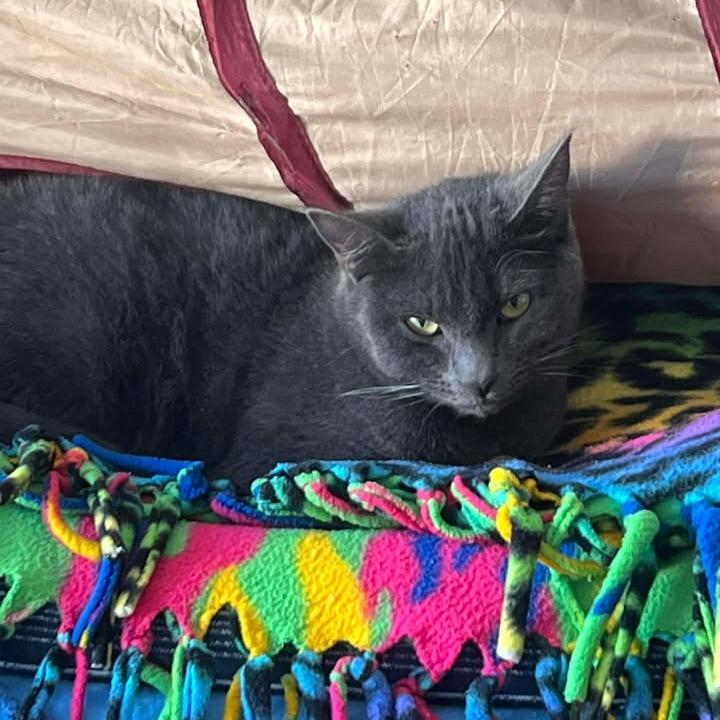 Ember (Music) — thumbnail 3