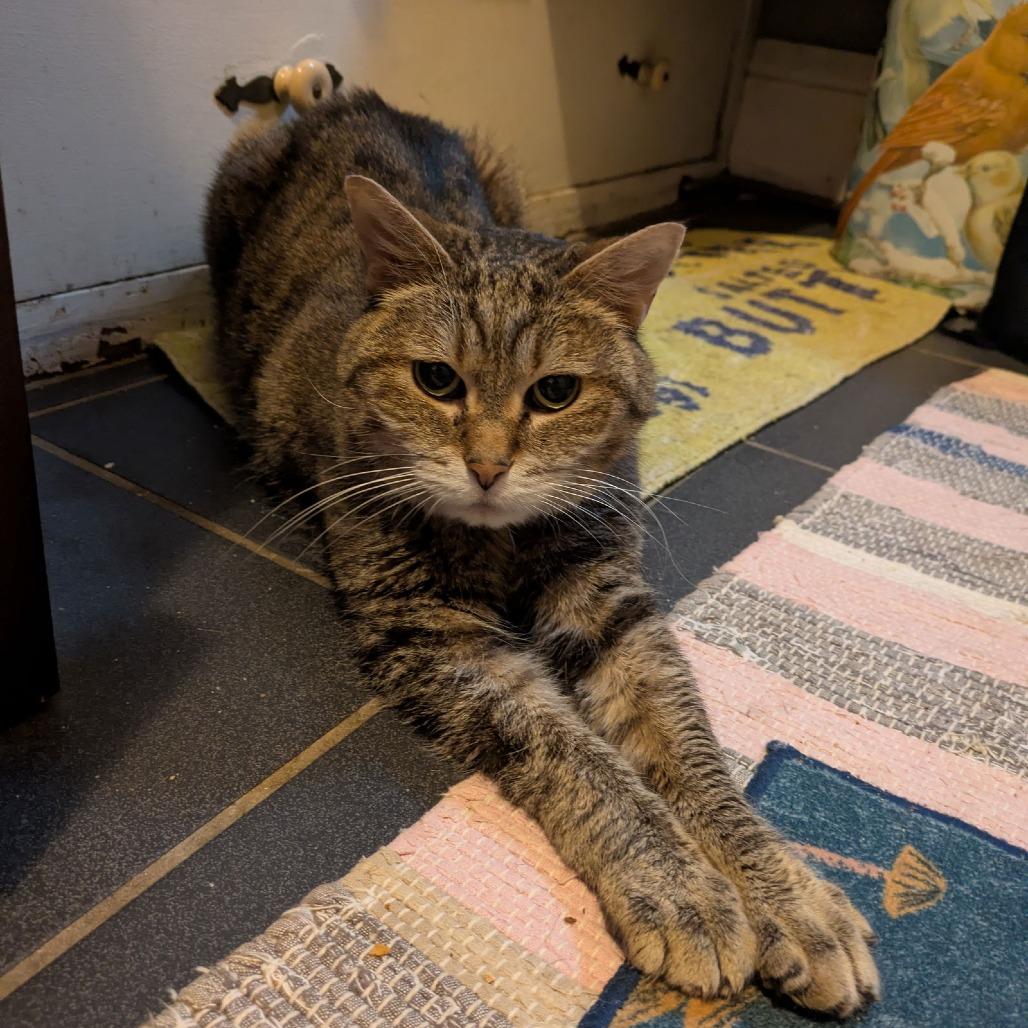 Ladi C6822 — thumbnail 4