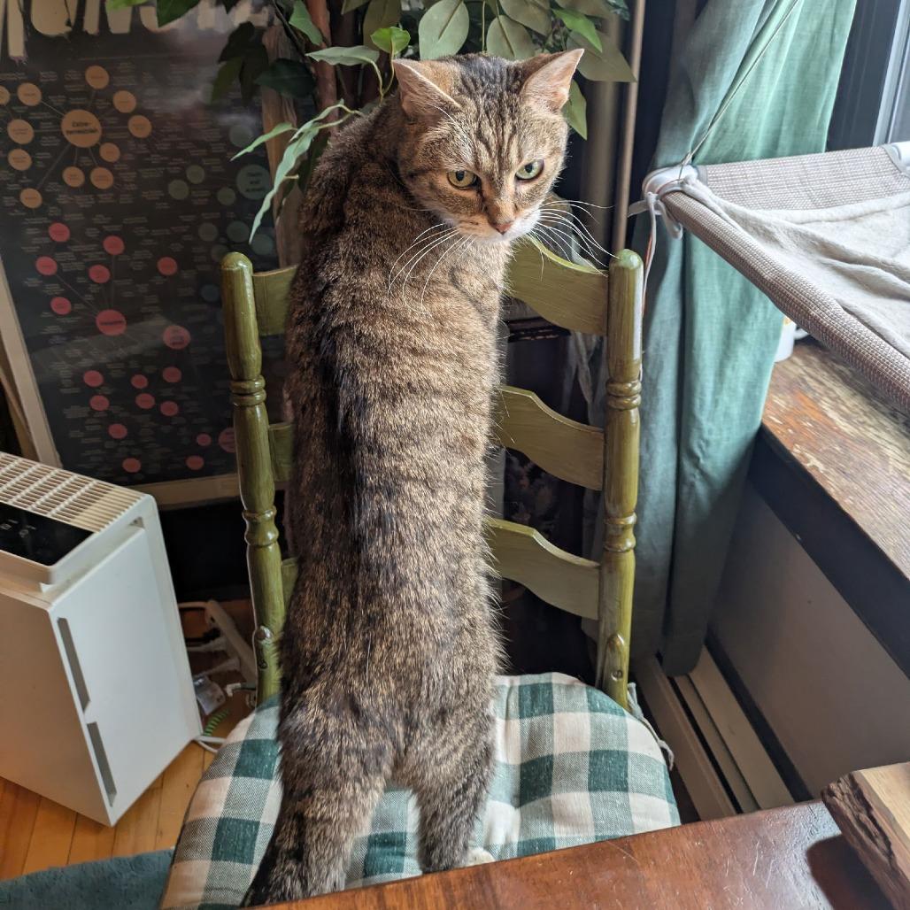 Ladi C6822 — thumbnail 6