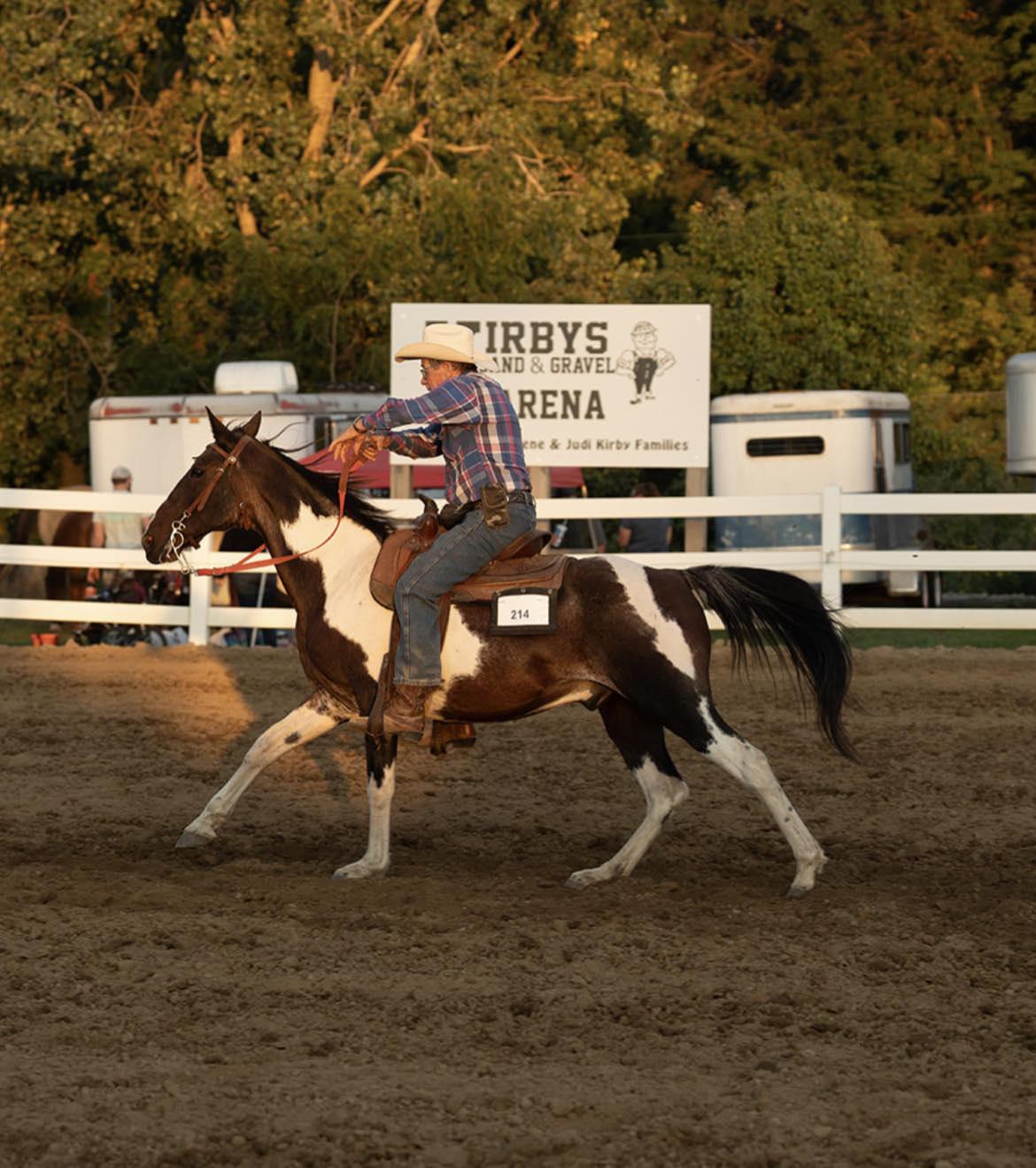 Enlarge Buddy, a Adoptable Tennessee Walker in Upper Sandusky, OH image 2/2