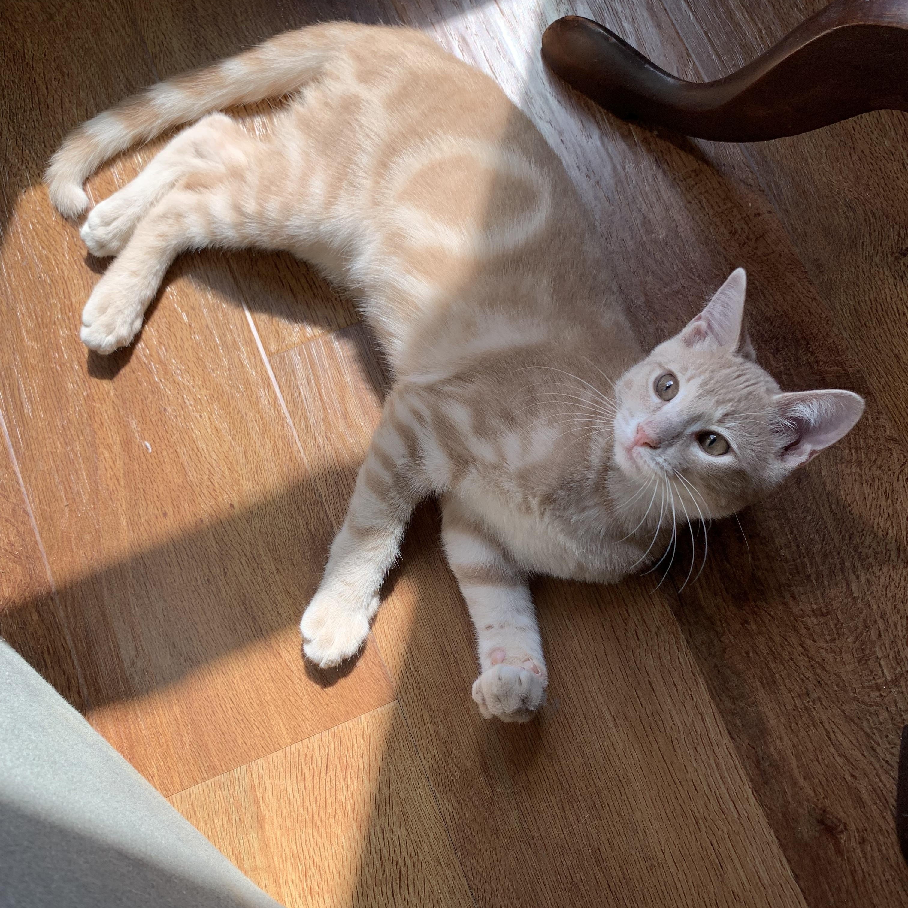 Nimbus photo 2